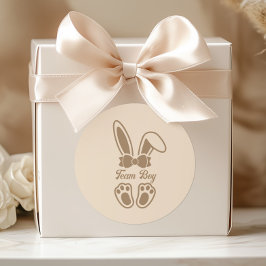 Bunny Light Beige Geslacht Reveal Team Boy Ronde Sticker