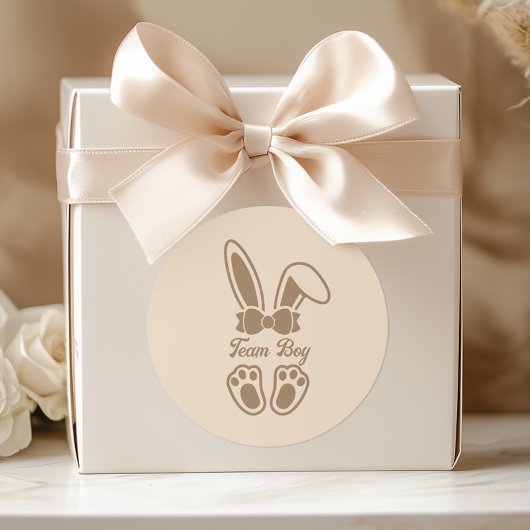 Bunny Light Beige Geslacht Reveal Team Boy Ronde Sticker