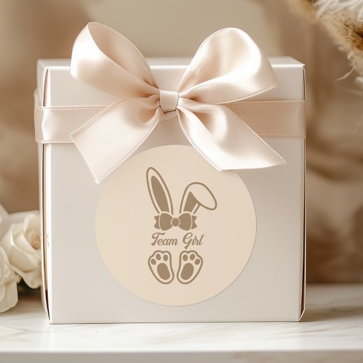 Bunny Light Beige Geslacht Reveal Team Girl Ronde Sticker