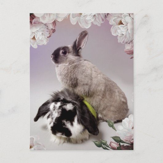 Bunny Love Briefkaart (Voorkant)