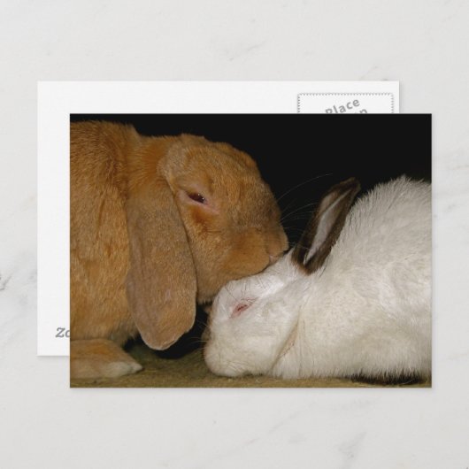 bunny love briefkaart (Voorkant / Achterkant)