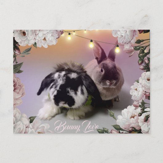 Bunny Love Briefkaart (Voorkant)