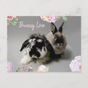 Bunny Love Briefkaart