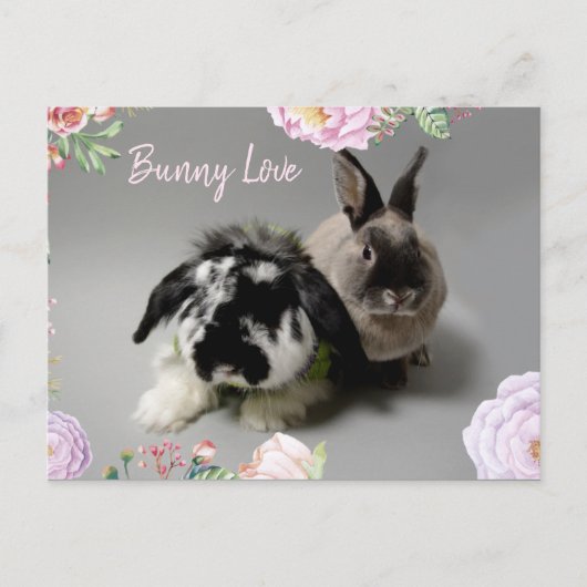 Bunny Love Briefkaart (Voorkant)