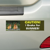 BUNNY LOVE Wild Rabbit Collectie Bumpersticker (Op auto)