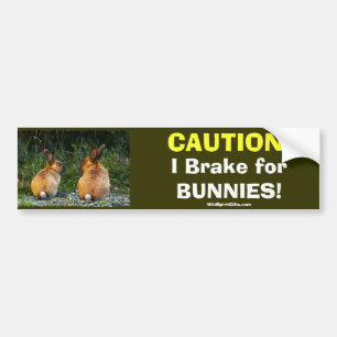 BUNNY LOVE Wild Rabbit Collectie Bumpersticker