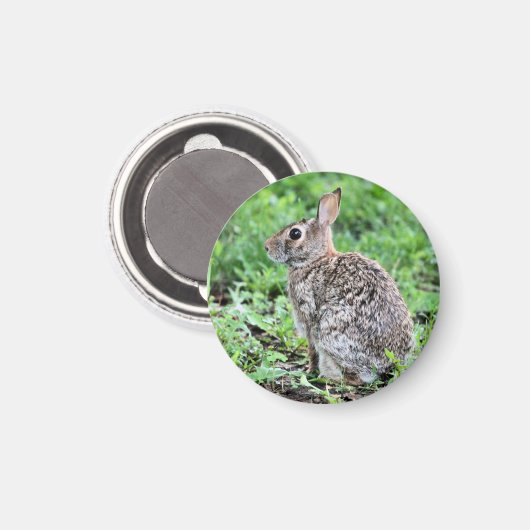 Bunny Magneet (Voorkant / Achterkant)