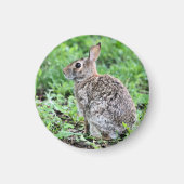 Bunny Magneet (Voorkant)