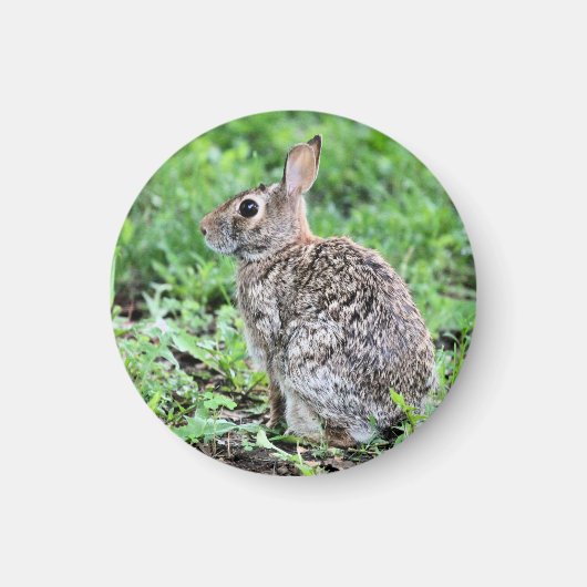 Bunny Magneet (Voorkant)