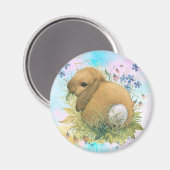 Bunny Magneet (Voorkant / Achterkant)