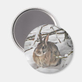 Bunny Magnet (Voorkant / Achterkant)