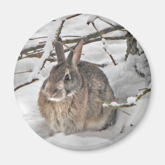 Bunny Magnet (Voorkant)