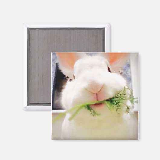 Bunny Magnet (Voorkant / Achterkant)