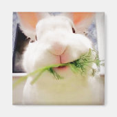 Bunny Magnet (Voorkant)