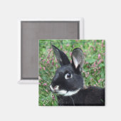 Bunny magnet (Voorkant / Achterkant)