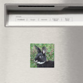 Bunny magnet (Insitu (Vaatwasser))