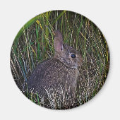 Bunny Magnet (Voorkant)