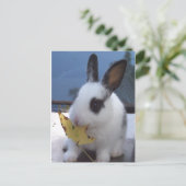 Bunny met blad briefkaart (Staand voorkant)