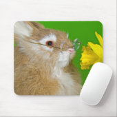 Bunny met Daffodil Muismat (Met muis)