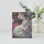 Bunny met eieren briefkaart (Staand voorkant)