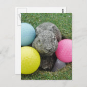 Bunny met roze blauw geel ei briefkaart (Voorkant / Achterkant)