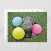 Bunny met roze blauw geel ei briefkaart (Voorkant / Achterkant)