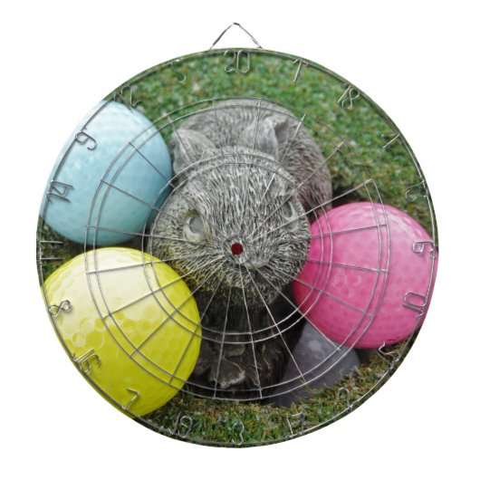Bunny met roze blauw geel ei dartbord (Voorkant)