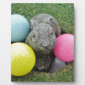 Bunny met roze blauw geel ei fotoplaat (Voorkant)