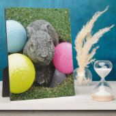 Bunny met roze blauw geel ei fotoplaat (Zijkant)