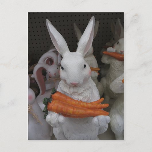 Bunny met wortel briefkaart (Voorkant)