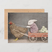 Bunny met zijn kippenkar briefkaart (Voorkant / Achterkant)