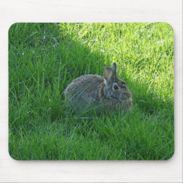 bunny muismat