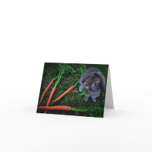 Bunny Munches Wortelen / Notecard