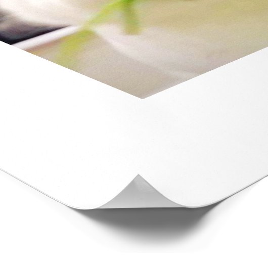 Bunny Munching Poster (Hoek)