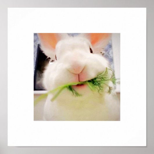 Bunny Munching Poster (Voorkant)