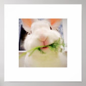 Bunny Munching Poster (Voorkant)