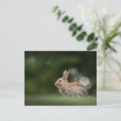 Bunny Natuur Foto Briefkaart (Staand voorkant)