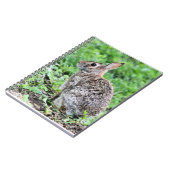 Bunny Notitieboek (Linkerzijde)