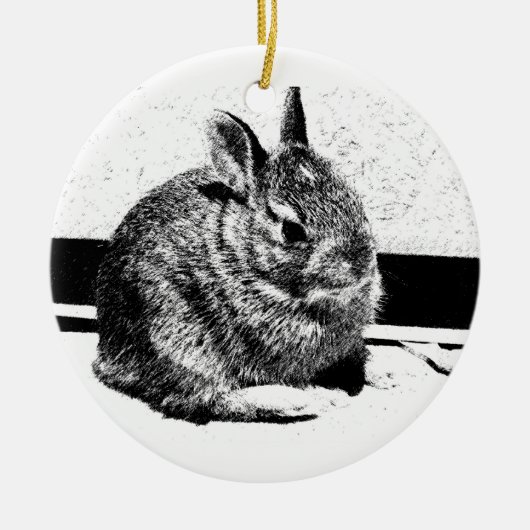 Bunny Ornament (Voorkant)
