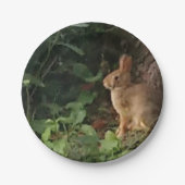 Bunny Paper Bord - voor de konijn & natuur liefheb (Voorkant)