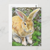 Bunny Pastel Briefkaart (Voorkant / Achterkant)