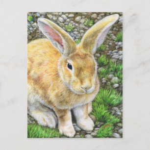 Bunny Pastel Briefkaart