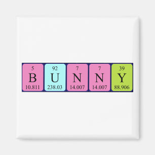 Bunny periodieke table name magnet