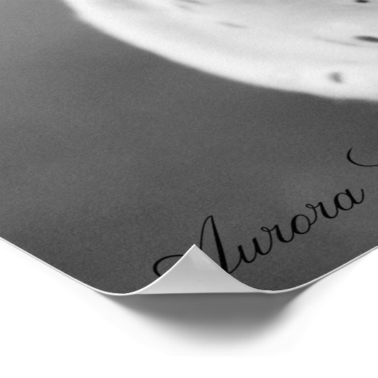 Bunny Pet Poster (Hoek)