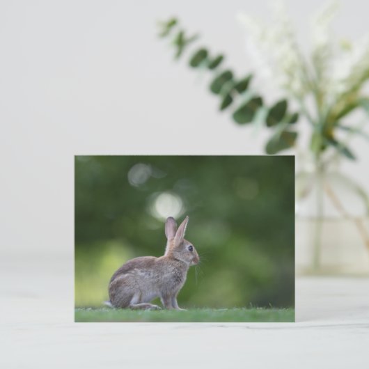 Bunny Photo Briefkaart (Staand voorkant)
