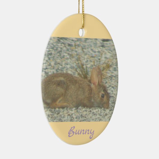 Bunny Photo Ornament (Rechts)