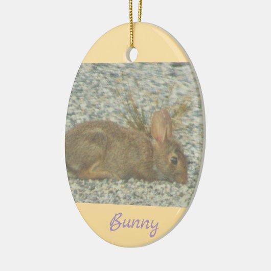 Bunny Photo Ornament (Links)