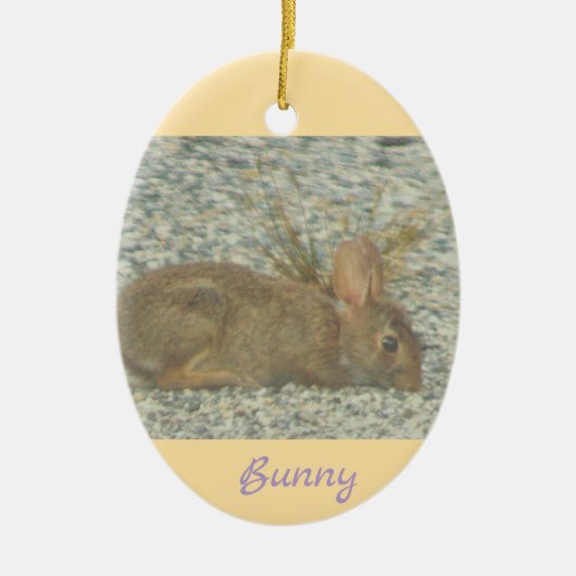 Bunny Photo Ornament (Voorkant)