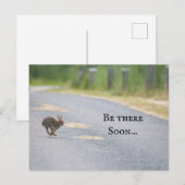 Bunny Photo Postcard Feestdagenkaart (Voorkant / Achterkant)