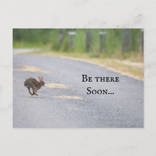 Bunny Photo Postcard Feestdagenkaart (Voorkant)